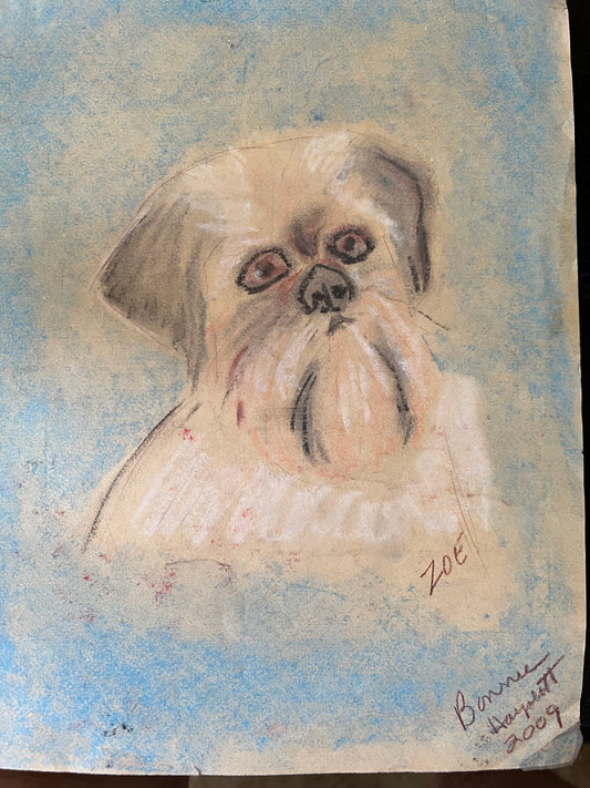 This is a pastel drawing of a pet on colored paper. Drawn by Bonnie Hayslett
